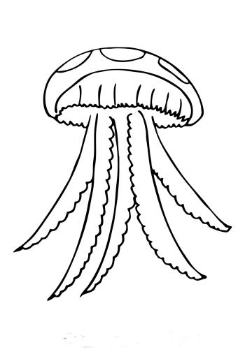 Медуза в море