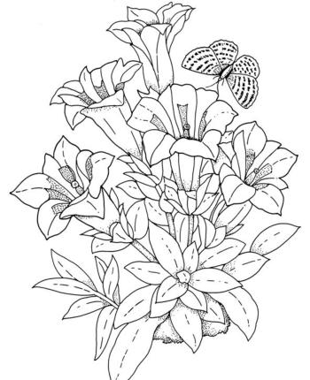 Букет лилий