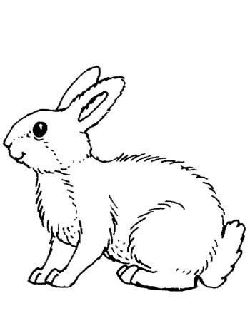 Зайчик