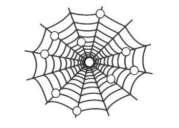 Раскраска Паутина