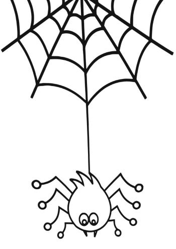 Паук висит на паутине