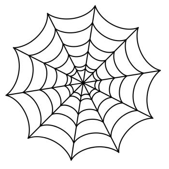 Паутина в лесу