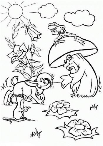 Мудрый гриб