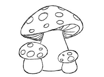 грибы мухоморы