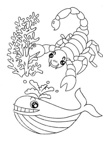 Скорпион и кит