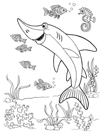 Веселая акула