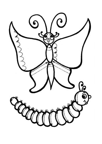 Бабочка и гусеница