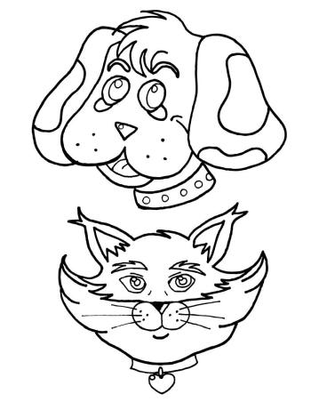 Кот и собака