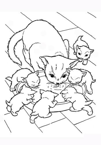 Кошка для детей