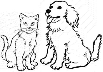 Кошка и собака