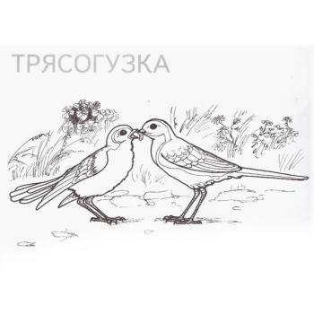 Раскраска Трясогуска