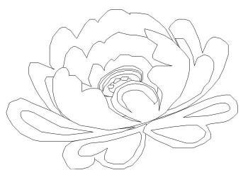 Цветок пиона