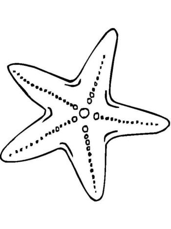 Морская звездочка