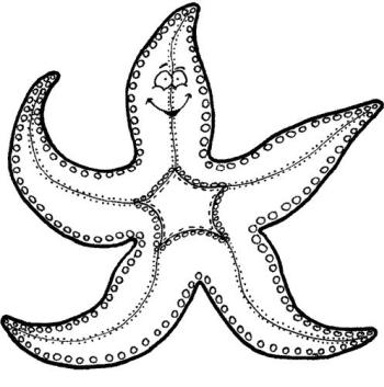 Веселая морская звезда