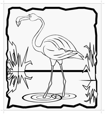 Фламинго купается