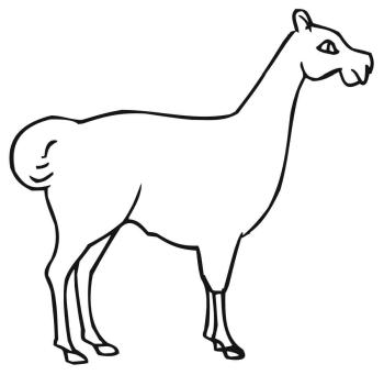 Лама