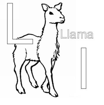 Лама