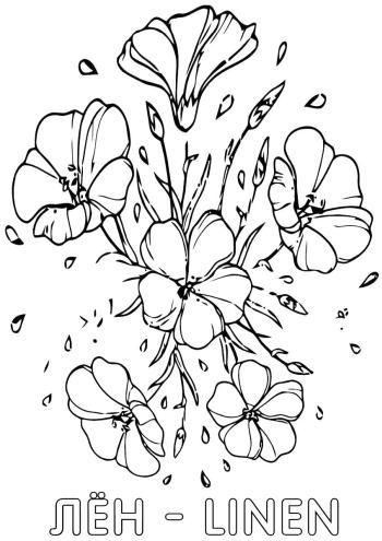 Картинка Лен