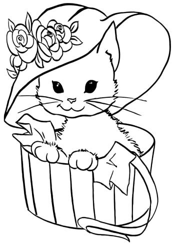 Кот в шляпе