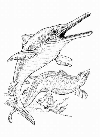 Морские хищники