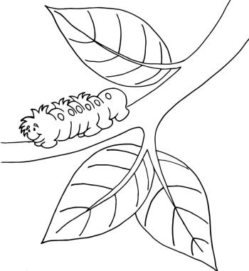 гусеница на ветке