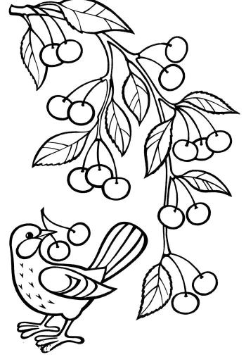 Ветка и птица