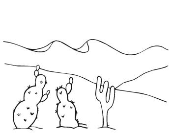 Кактусы в пустыне