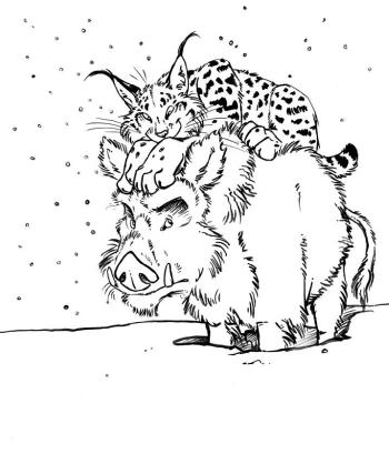 Игры с животными