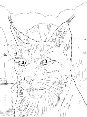 Ушки с кисточками