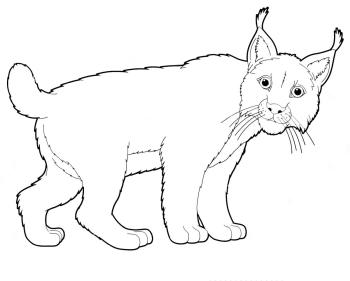 Симпатичное животное