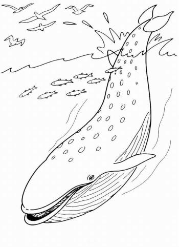 Взмах плавника