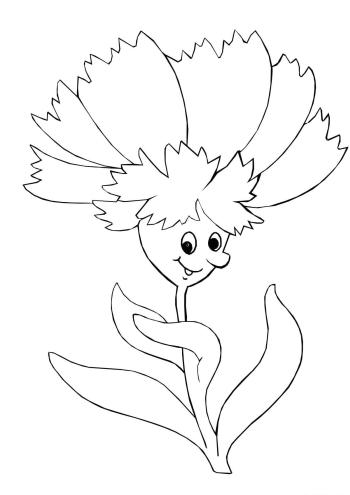 Василек с глазами