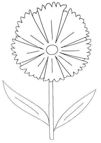 Красивый Василек