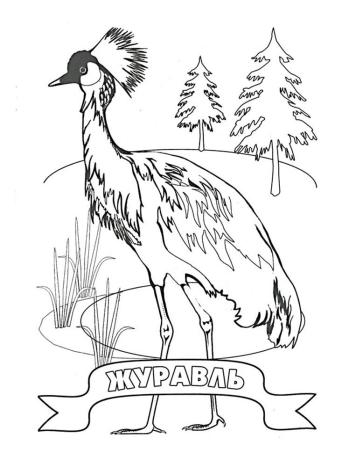Журавль в лесу