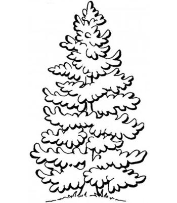 Елка