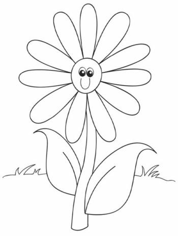 цветик семицветик с глазами