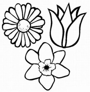 раскраска три красивых цветика семицветика