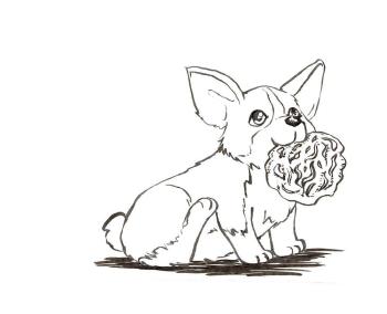 Корги
