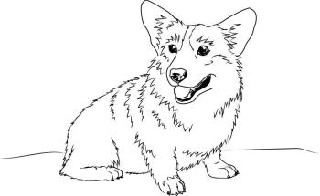 рисунок Корги