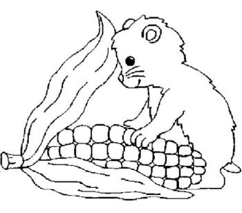 Зверек с кукурузой