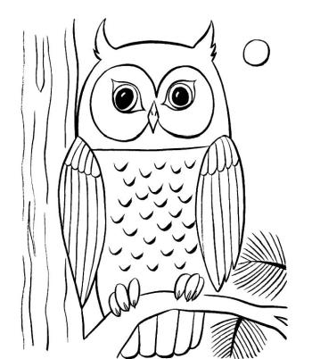 Филин на дереве