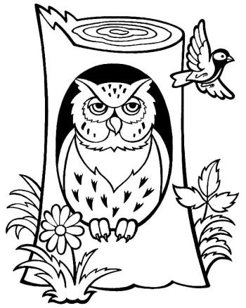 Филин в дупле