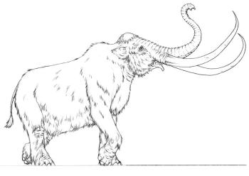 Мамонт с бивнями