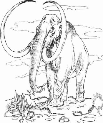 Большой Мамонт