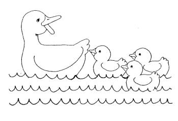 Утка и утята