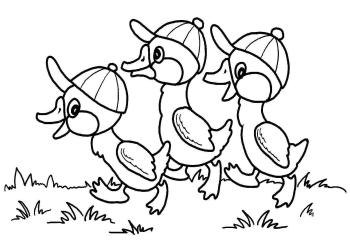 Утенок в кепке