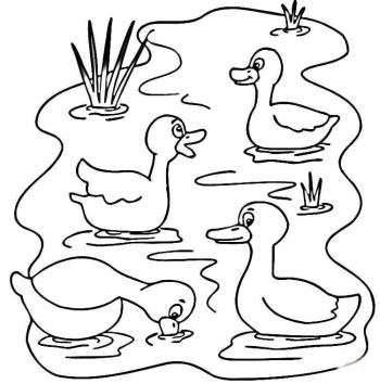 Утята купаются