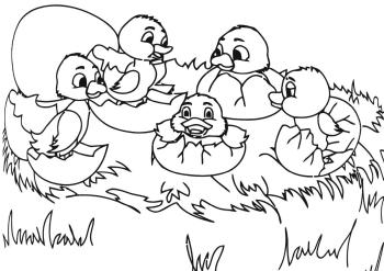 Утенок в яйце