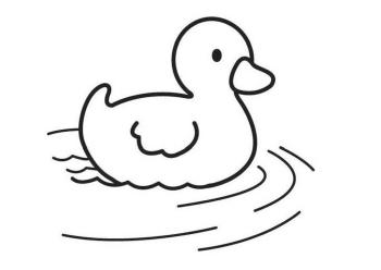 Утенок плавает