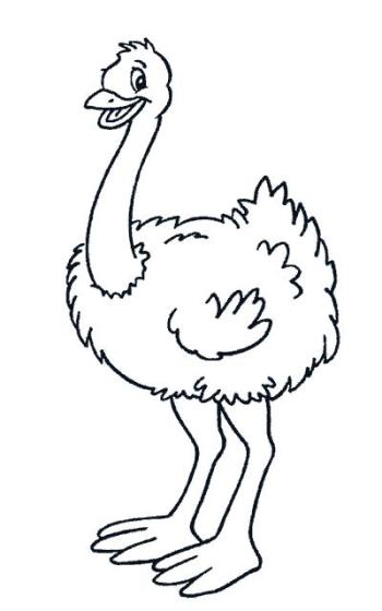 Маленький страус